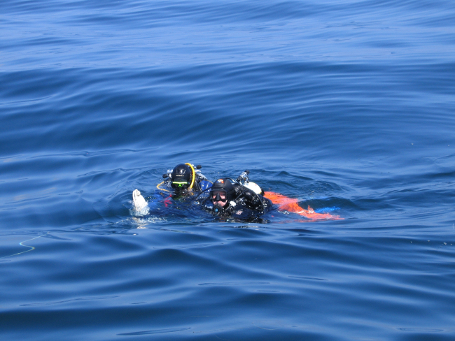 NOAA divers return from a dive in the Stellwagen Bank National Marine Sanctuary
