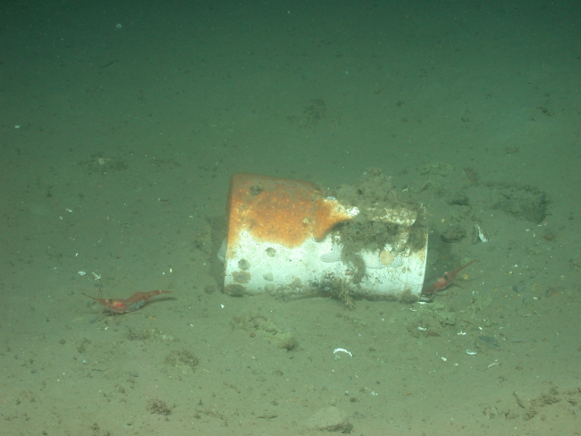 A ceramic pitcher sits on the seafloor next to the Portland's hull
