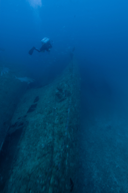 Diver over wreckage of the NORTHERN LIGHT, a shipwreck in 190 feet waterdepth