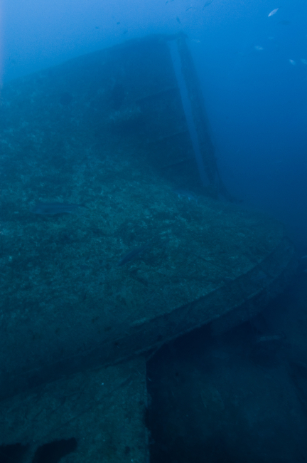 Upside-down rudder of the NORTHERN LIGHT, a shipwreck in 190 feet waterdepth