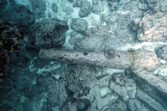 Parrott 30-pound swivel gun at the USS SAGINAW shipwreck site