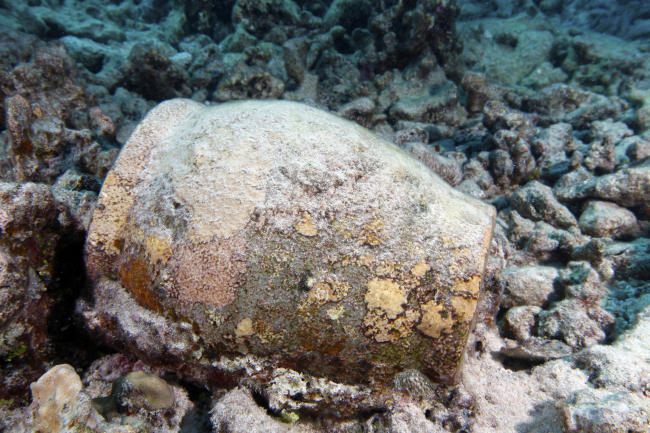 Ginger jar at Two Brothers shipwreck site