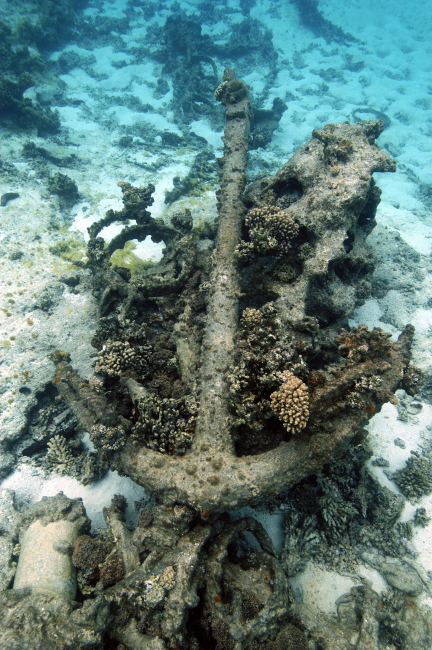 Anchor and bow section of the whaling ship PARKER at Kure Atoll