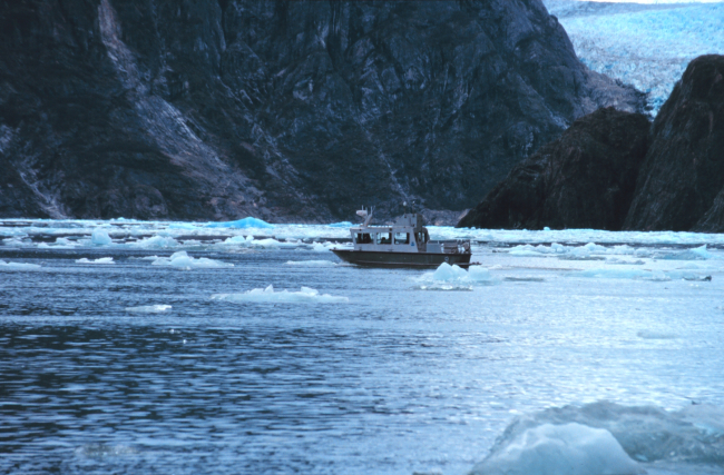 RA-2 running a survey line while dodging bergy bits in Tracy Arm