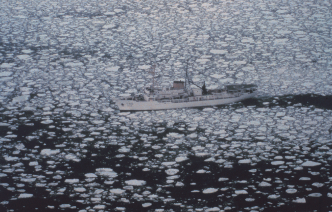 NOAA Ship SURVEYOR in pancake ice in the Bering Sea