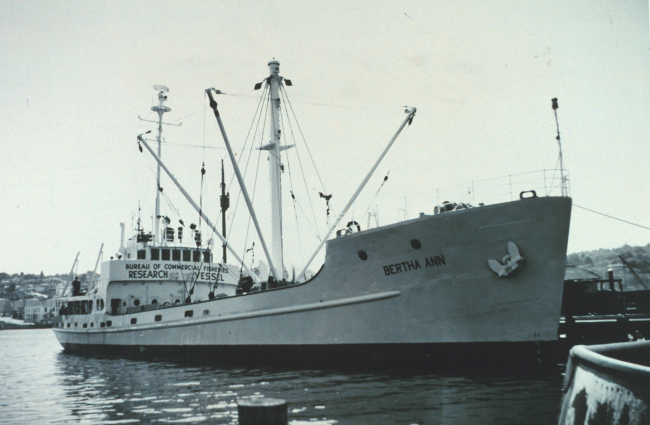 Chartered Bureau of Commercial FisheriesShip BERTHA ANN