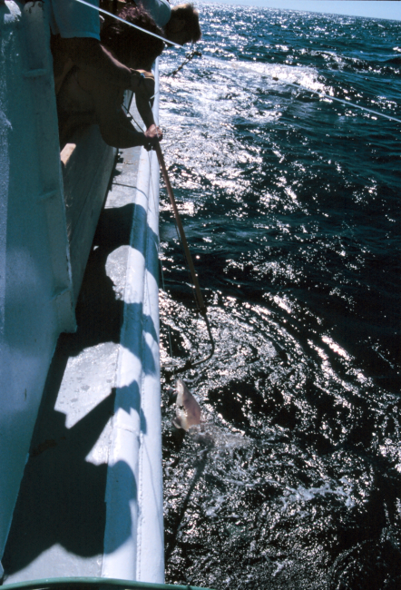 Operations on the NOAA Ship FERREL