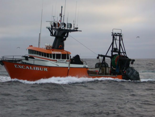Chartered Fishing Vessel Excalibur underway while conductingresearch for West Coast Groundfish bottom trawl survey