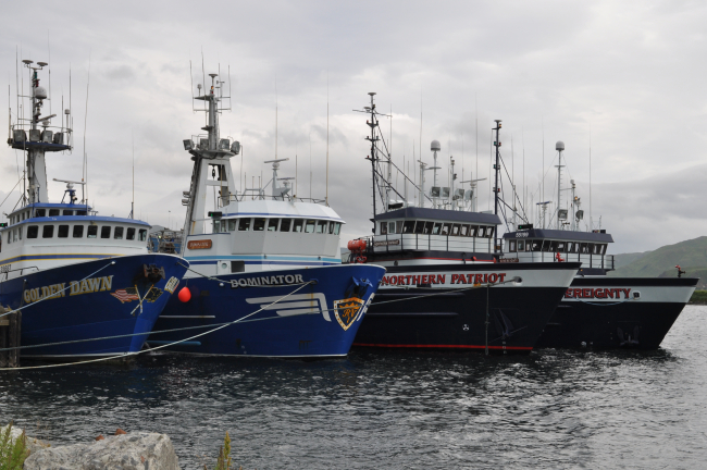 Trim and pretty fishing boats at Dutch Harbor