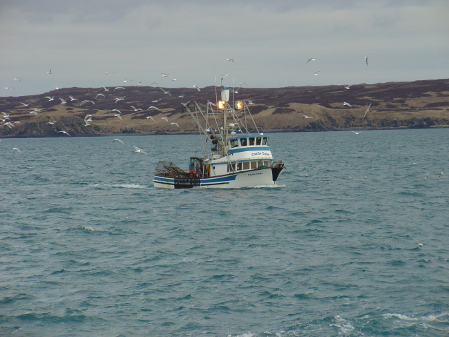 The CASTLE CAPE, a small multi-purpose fishing vessel