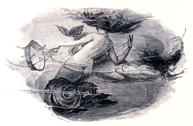 Naturalist's dream of mermaids collecting in the deep