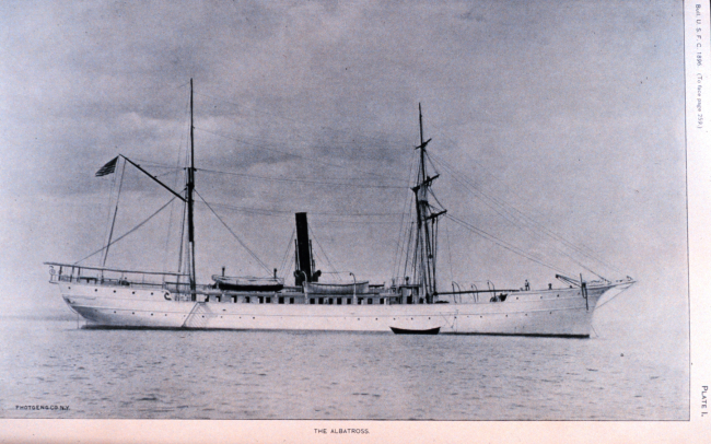 The United States Fish Commission Steamer ALBATROSS