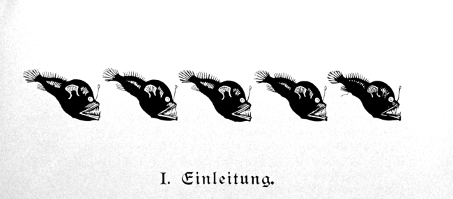 Graphic of deep sea anglerfish at beginning of Chapter 1