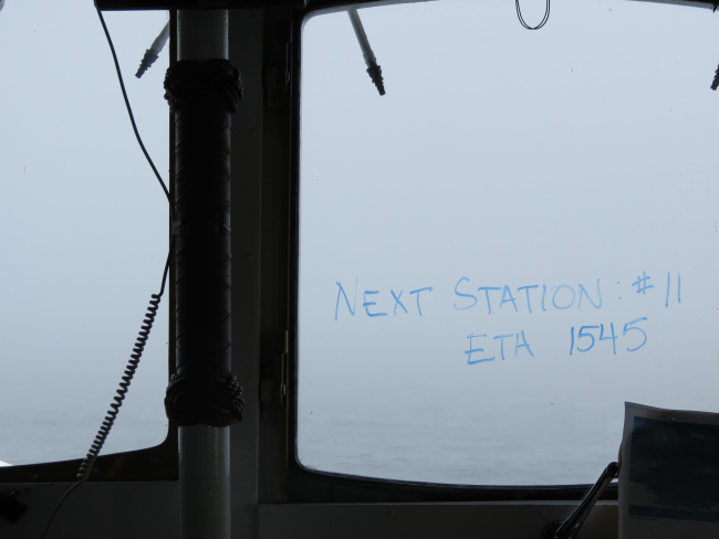 The challenge of ship operations in the fog