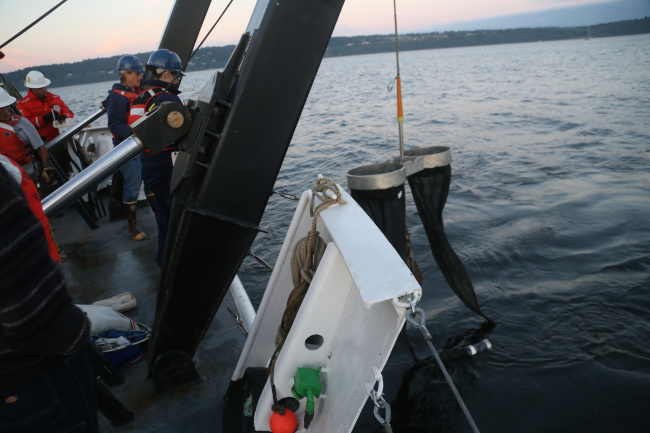Deploying bongo nets off NOAA Ship FAIRWEATHER