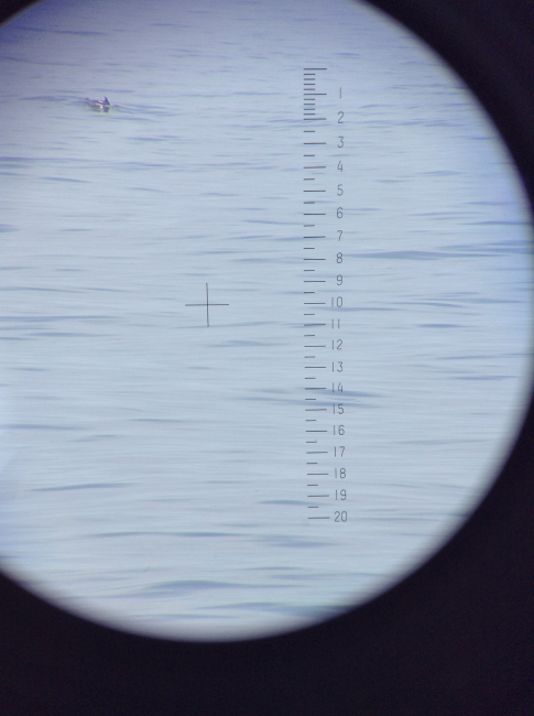 View of marine mammal through range finder binoculars