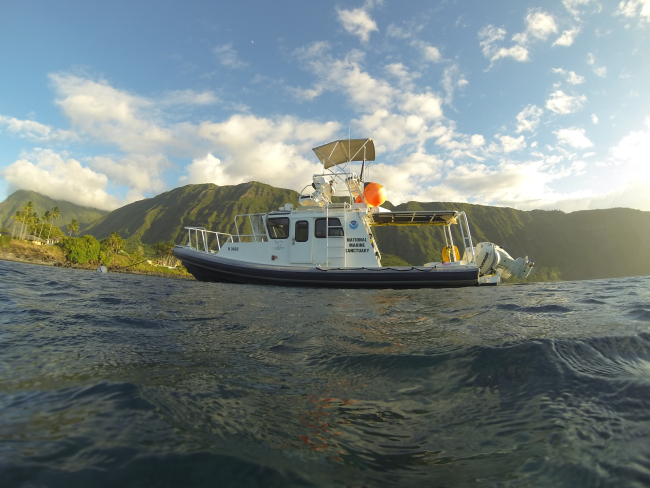 National Marine Sanctuaries vessel R/V KOHOLA was specifically built andcustomized for large whale response, disentanglement, and research