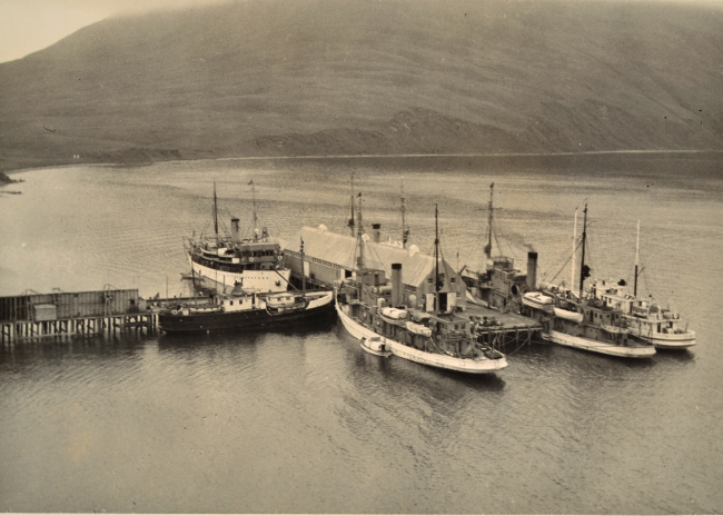 Coast and Geodetic Survey Ships SURVEYOR, PIONEER, andDISCOVERER, and GUIDE at Dutch Harbor