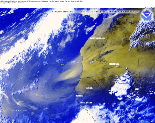 Airborne dust streams off of Africa with a particularly heavy dust plume seenoff Mauritania