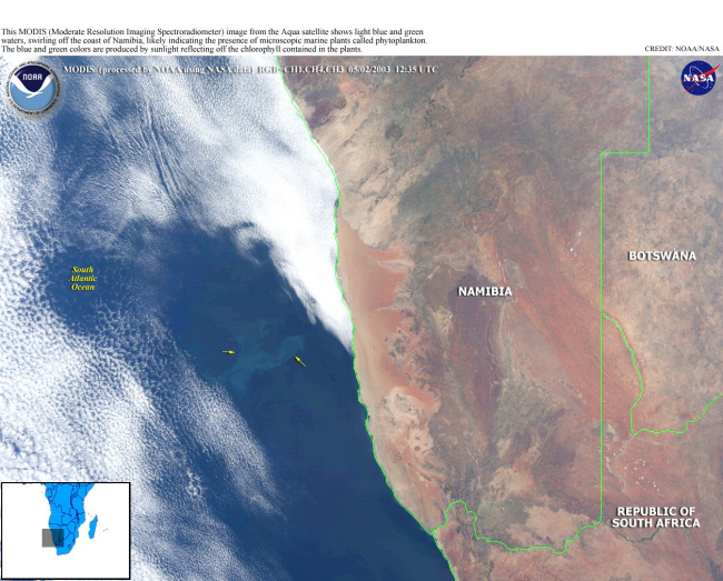 Light blue and green waters off the coast of Namibia indicate phytoplankton bloom