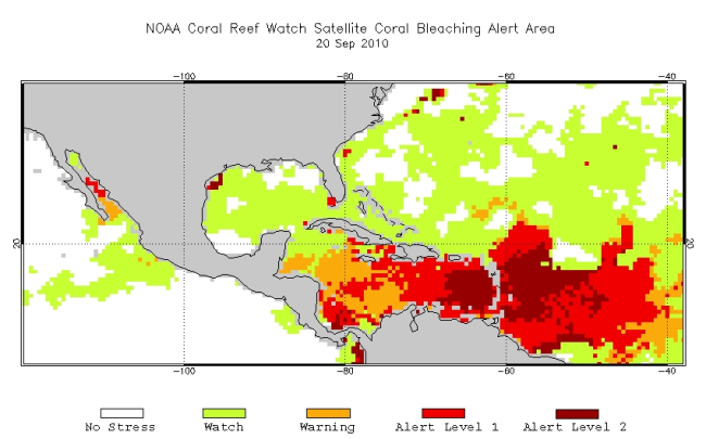 NOAA coral reef watch satellite coral bleaching alert area