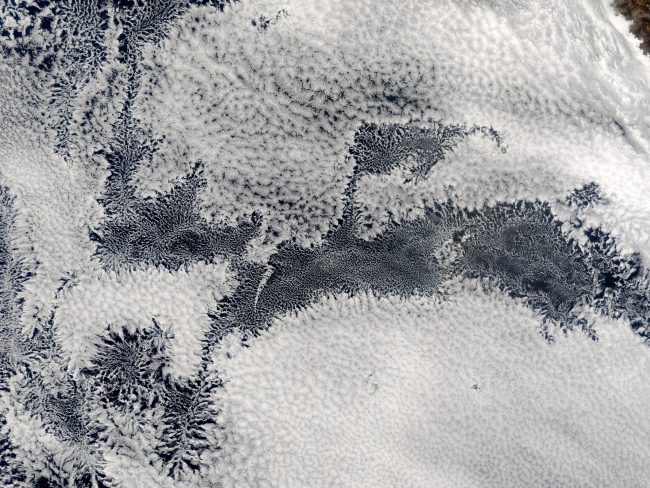 Remarkable cellular cloud pattern taken from NASA satellite