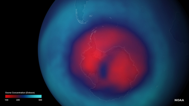 Total ozone concentration over Antarctica for the week of September 7, 2014