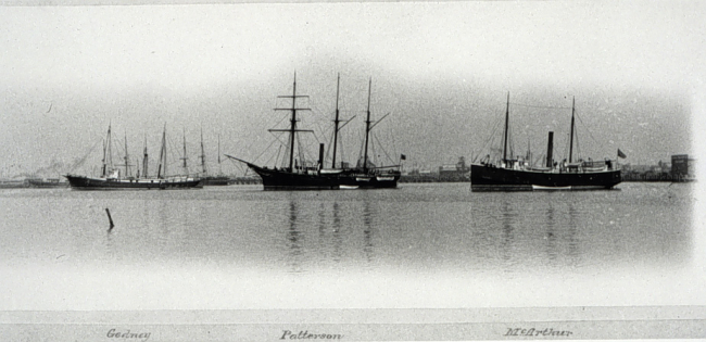 Coast and Geodetic Survey Ships GEDNEY, PATTERSON, AND MCARTHUR