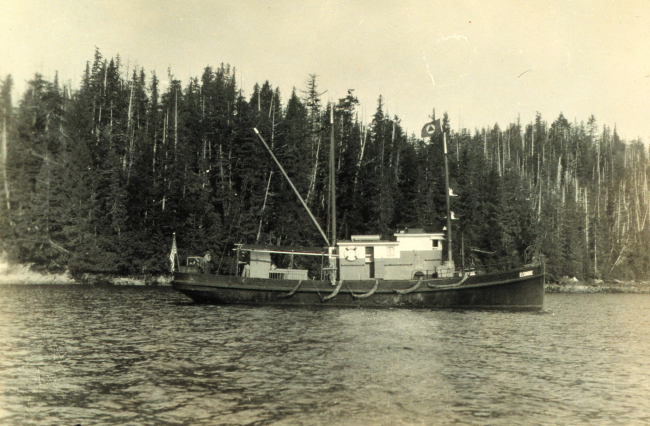 The chartered launch ELSINORE