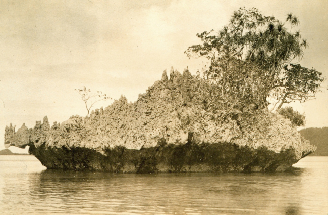 Erosion of coral leaving undercut mushroom-type islet