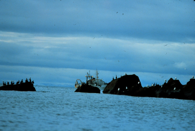 NOAA Ship MILLER FREEMAN seen beyond the rocks of an Aleutian shore