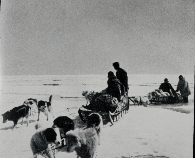 Dog sled on Arctic Field Party