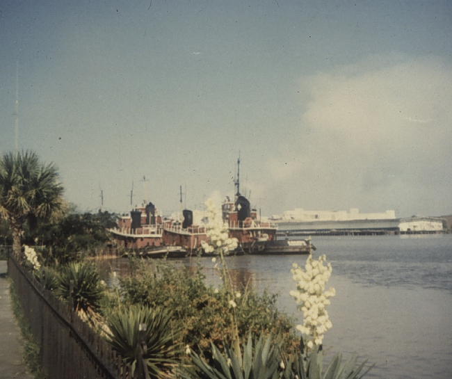 Savannah waterfront scene