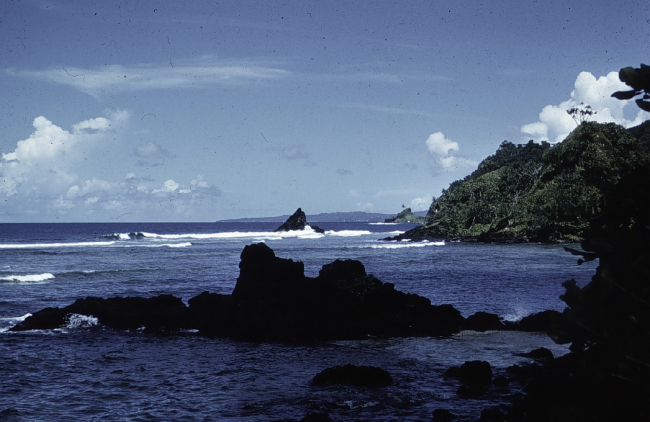 Rocky shores of American Samoa