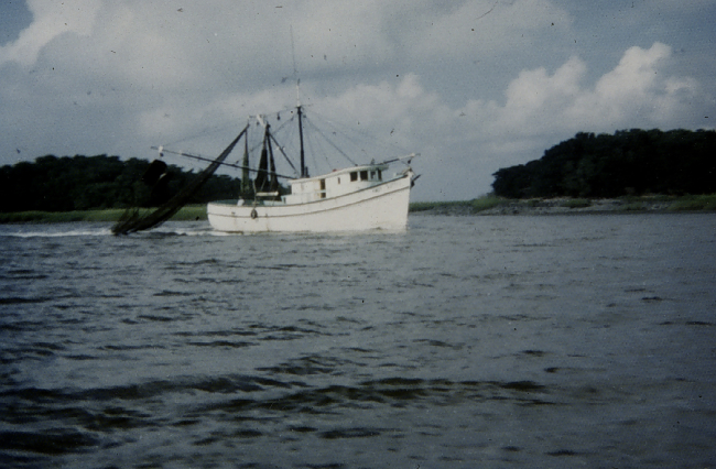 Shrimp trawler in Sapelo Sound