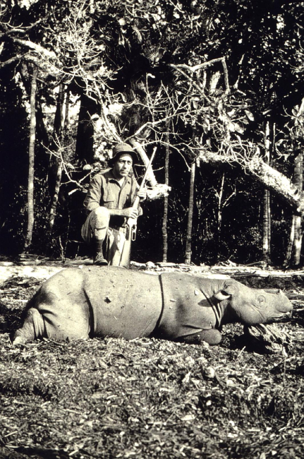Rhino hunting in Borneo