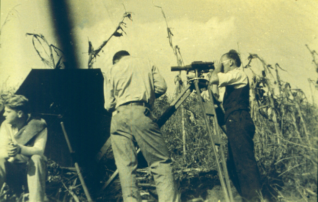 George Hastings observing in an Alabama cornfield