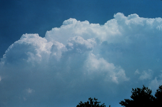 Cumulus congestus