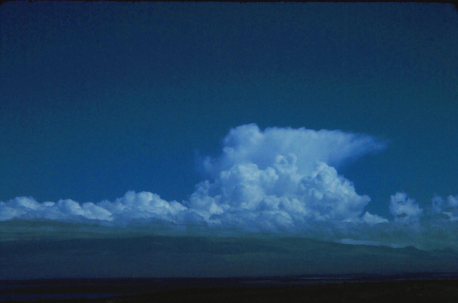 Cumulonimbus with anvil top and towering cumulus