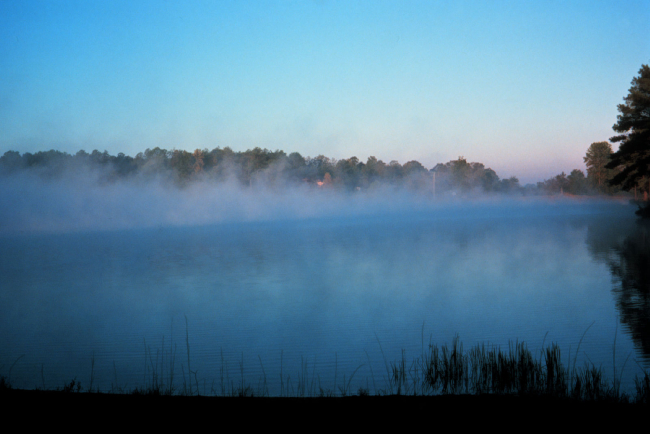 Early morning fog on a southern lake
