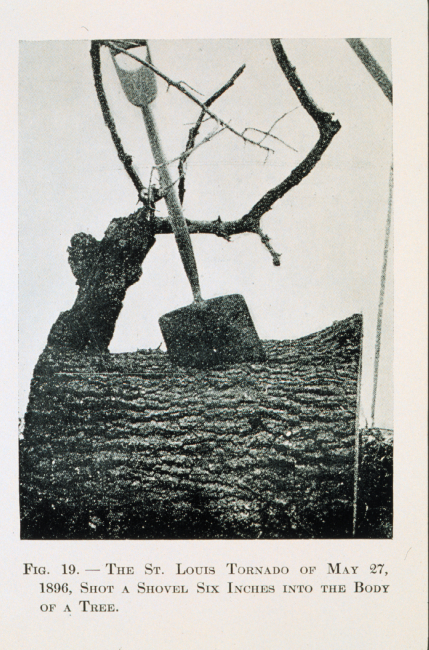 The awesome force of a tornado - tree pierced by shovelTornado of May 27, 1896, at St
