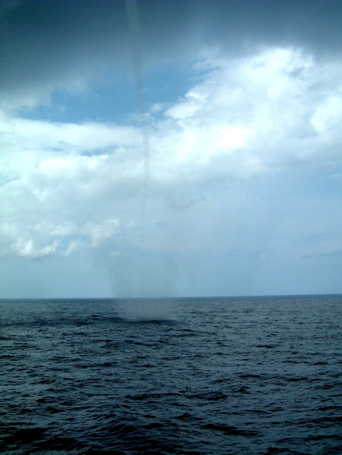 Waterspout observed from NOAA Ship RONALD H