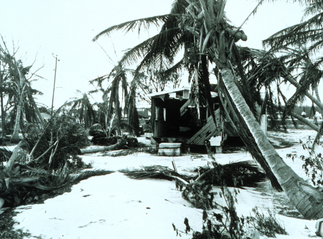 All homes in this area destroyed by Hurricane Donna