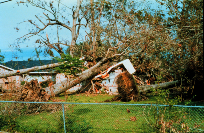 Hurricane Andrew - Trees falling damaged homes north of Avery IslandFortunately the residents had evacuated