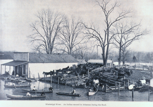An Indian Mound in Arkansas serves as a refuge for men and beasts during thespring flood of 1903