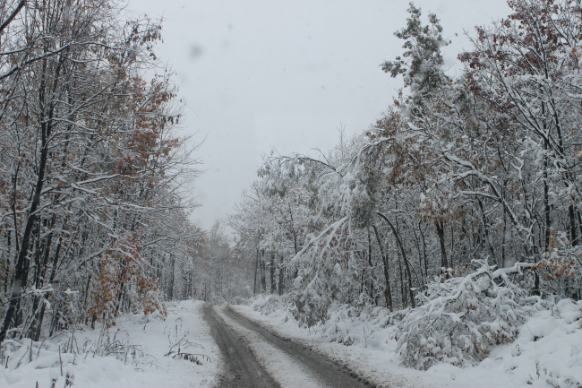 The surprise October record snowfall
