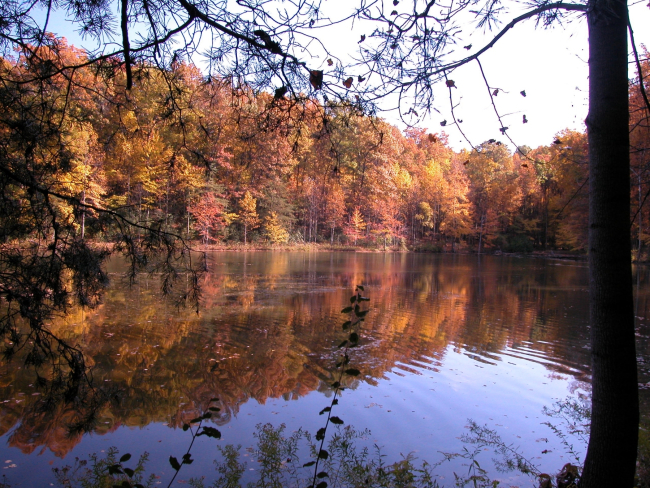 Fall colors reflecting in Clopper Lake