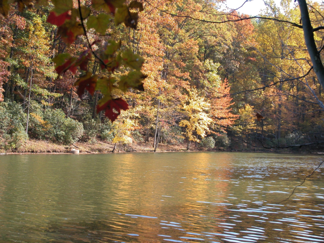 Fall colors on a quiet cove on Clopper Lake
