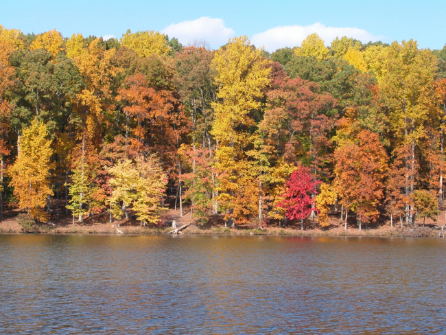 Reds and yellows and oranges and greens on the shores of Clopper Lake