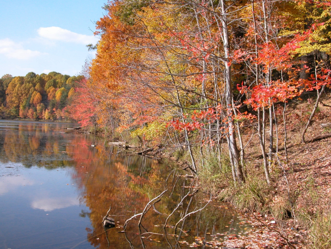 Shoreline of Clopper Lake on an autumn afternoon
